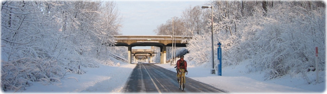Inverno Minneapolis